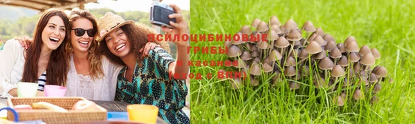 герыч Вязьма