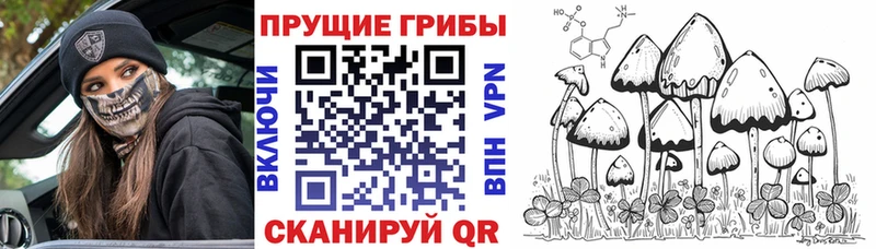 Галлюциногенные грибы мицелий  где продают   Комсомольск-на-Амуре 